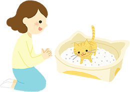 아기 고양이가 들어갈 수 있는 턱이 낮은 화장실과 고양이용 모래를 준비한 입양자